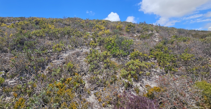 0 Bedroom Property for Sale in Mykonos Western Cape